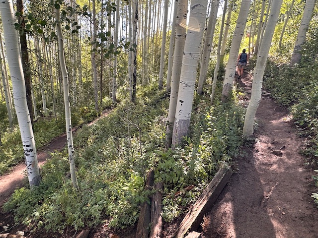 Why Training on Vail's Berrypicker Trail is Key for International Treks