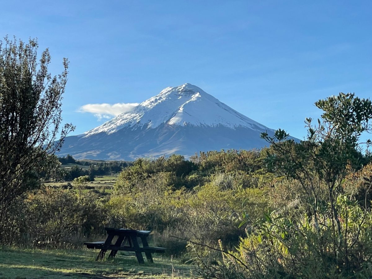 Cotopaxi from Chilcabamca Lodge