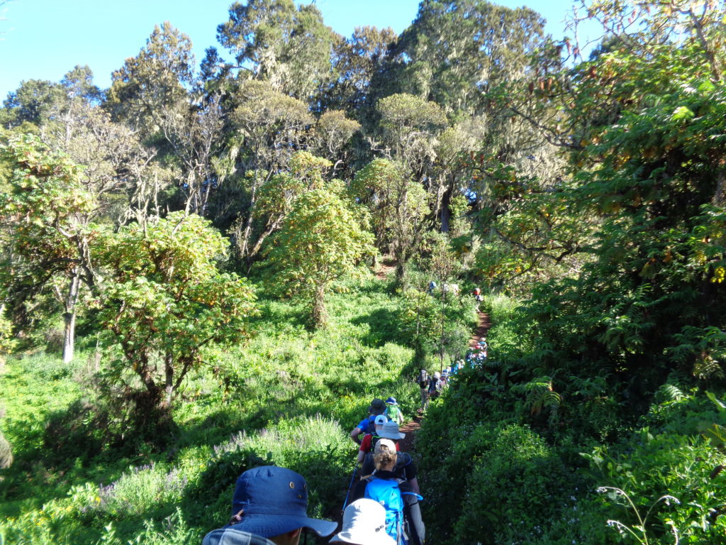 What is the most Beautiful route up Mount Kilimanjaro