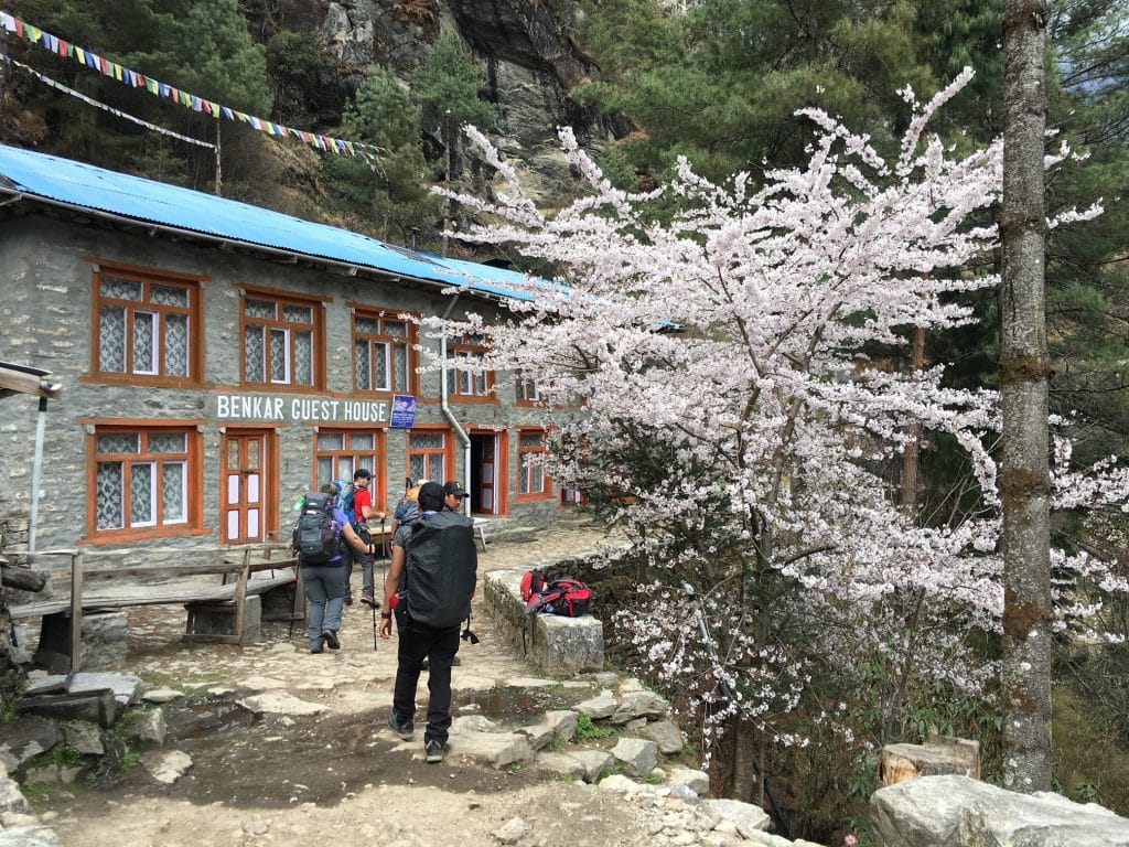 The trail to Everest Base Camp