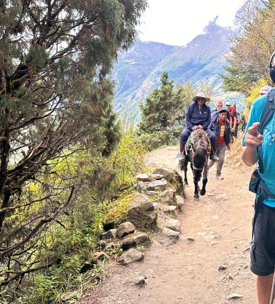 Reasons people are getting sick in the Everest region.