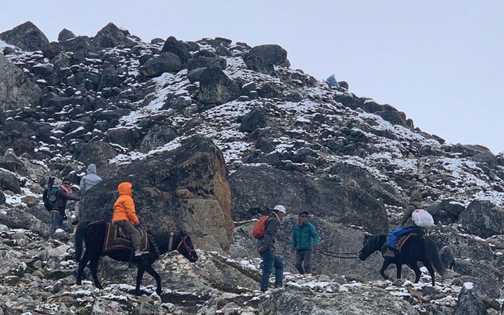 Reasons people are getting sick.