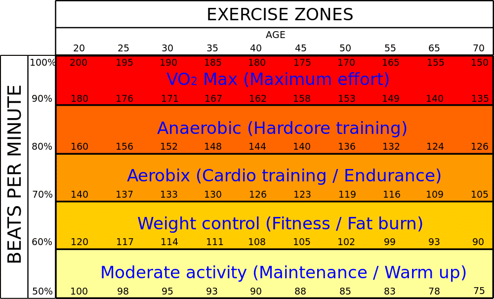 Heart Rate Training Zones
